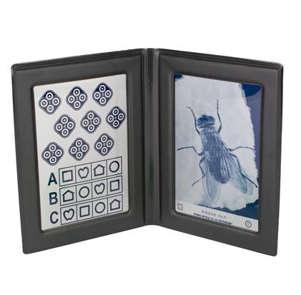 SL001-Stereo Fly Test With LEA Symbols